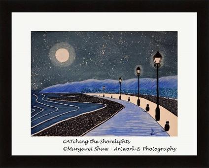 CATching the Shore Lights