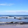 Rolling Waves Lossiemouth  Limited Print of 5 Mount Sizes 20x16 16x12 A4