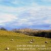 Over the Sheep to the Fells  Limited Print of 5 Mount Sizes  A4 16x12 20x16