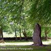 Clava Stone One  Limited print of 5  Mount Sizes A4 16x12 20x16