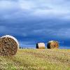 Three Hay Bales   Limited Print of 5 Mount Size A4 20x16 16x12