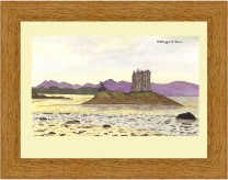 castle stalker