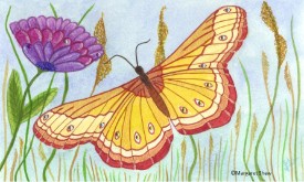golden butterfly too