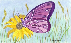 purple butterfly
