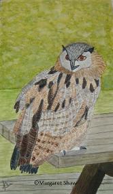 Eagle Owl