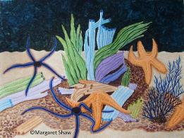 Aquarium Stars
