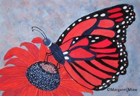 Red Butterfly