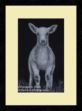 Are Ewe Playing