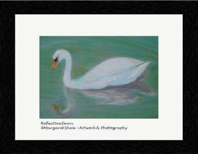 Reflective Swan