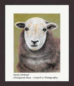 Herdy Portrait