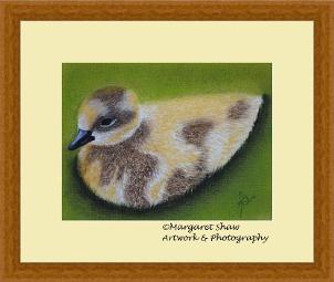 gosling 2