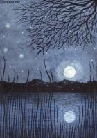 Moonlit Waters