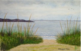 Through the Sand Dunes