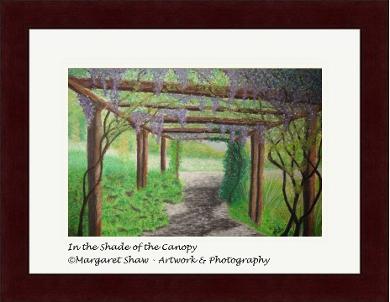 In the Shade of the Canopy