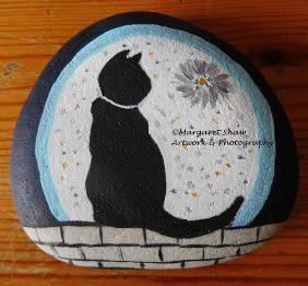 CATching stone 6