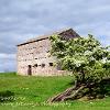 Barn and Hawthorne  Limited Print of 5 Mount Sizes  A4 16x12 20x16