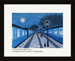 CATching the Night Train