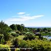 Glenwhan over Luce Bay  Limited Print of 5 Mount Size A4 20x16 16x12