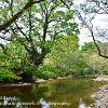 Low Stony Eden 2  Limited Print of 5 Mount Sizes  A4 16x12 20x16