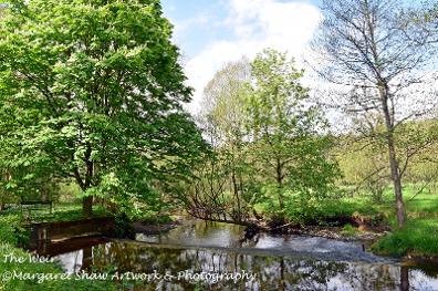 weir acorn bank