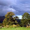 Fort View Ambleside.  Limited Print of 5.  Mount Sizes A4 16x12 20x16