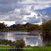 Wetlands Ambleside.  Limited Print of 5.  Mount Sizes A4 16x12 20x16