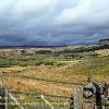 Footpath to the A66   Limited Print of 5 Mount Sizes 20x16  16x12  A4