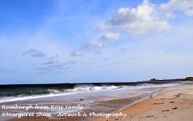 ross sands