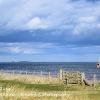 Beadnell Ring  Limited Print of 5 Mount Size A4  16x12  20x16