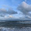 Bells Point Seahouses  Limited Print of 5 Mount Size 16x12  20x16