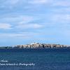 Farne Island Blues  Limited Print of 5 Mount Sizes 16x12  20x16