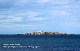 farne island