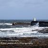 Harbour Entrance SeahousesLimited Print of 5   Mount Sizes A4  16x12  20x16