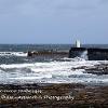 Harbour Entrance SeahousesLimited Print of 5   Mount Sizes A4  16x12  20x16