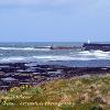 Into Seahouses Harbour  Limited Print of 5   Mount Sizes A4  16x12  20x16