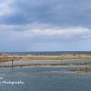 Low Tide Seahouses Harbour   Limited Print of 5 Mount Size 20 x 12