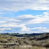 Over the Dunes to Budle Bay   Limited Print of 5 Mount Size A4  16x12  20x16