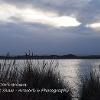 Silver Sea Dark Grasses  Limited Print of 5 Mount Size A4  16x12  20x16