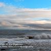 Dunstanburgh in the Distance  Limited Print of 5   Mount Sizes A4  16x12  20x16