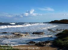 newton by the sea