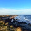 Seahouses Dunes and Beach  Limited Print of 5   Mount Sizes A4  16x12  20x16