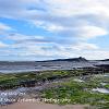 Tide Out Low Newton  Limited Print of 5   Mount Sizes A4  16x12  20x16