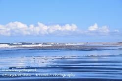 cheswick beach
