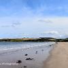 Along Sandend Beach  Limited Print of 5 Mount Sizes 20x16 16x12 A4