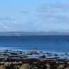 Ardwells Rocky Shoreline   Limited Print of 5 Mount Sizes 20 x 12