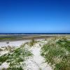 Findhorn Sand Dunes 3  Limited Print of 5  Mount Sizes 10x8 12x10 16x12 20x16