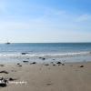 From Port Logan Beach 2  Limited Print of 5 Mount Sizes 20 x 12