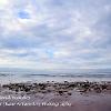 From Sandend Beach 3  Limited Print of 5 Mount Sizes 20x16 16x12 A4