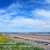 Looking North Sandhead   Limited Print of 5 Mount Sizes 20x16 16x12 A4