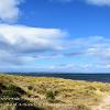 Grassy Sanddunes Findhorn  Limited Print of 5 Mount Sizes 20x16 16x12 A4
